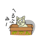 きっとキャット（個別スタンプ：16）