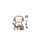 トイプードルのラテくんが来た！（個別スタンプ：2）