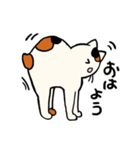 さんねこ日記（個別スタンプ：9）