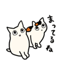 さんねこ日記（個別スタンプ：12）