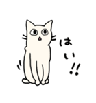 さんねこ日記（個別スタンプ：13）