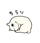 さんねこ日記（個別スタンプ：26）