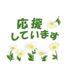おとなの気遣い お花のスタンプ（個別スタンプ：10）