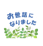 おとなの気遣い お花のスタンプ（個別スタンプ：25）