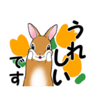 うさぎの茶太郎 大きな文字と優しい言葉編（個別スタンプ：17）