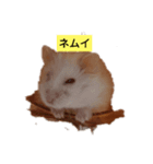 ルビーのつぶやき。（個別スタンプ：1）