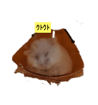ルビーのつぶやき。（個別スタンプ：2）