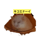 ルビーのつぶやき。（個別スタンプ：3）