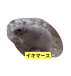 ルビーのつぶやき。（個別スタンプ：4）