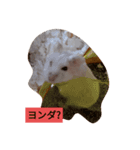 ルビーのつぶやき。（個別スタンプ：7）