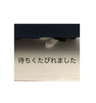 待てないネコ（個別スタンプ：8）