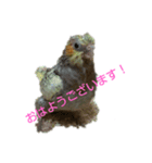 インコスタンプ！！！（個別スタンプ：1）