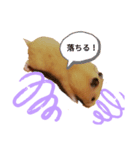 topaz0902（個別スタンプ：5）
