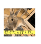 ウサギのモコと申します。（個別スタンプ：7）