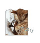 小野家のねこ3兄弟 パート1（個別スタンプ：4）