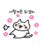 もちもち ねこ もちニャン（個別スタンプ：21）