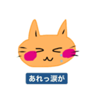 いつも笑顔の猫5 笑顔だが最近調子が悪い（個別スタンプ：15）