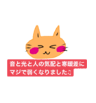 いつも笑顔の猫5 笑顔だが最近調子が悪い（個別スタンプ：27）