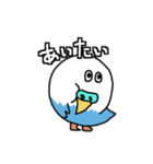 日常で使える脱力系インコうずら君（個別スタンプ：5）
