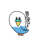 日常で使える脱力系インコうずら君（個別スタンプ：6）