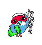 日常で使える脱力系インコうずら君（個別スタンプ：13）