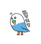 日常で使える脱力系インコうずら君（個別スタンプ：16）
