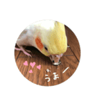 ピヨとくう 2（個別スタンプ：1）
