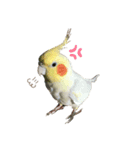 ピヨとくう 2（個別スタンプ：3）