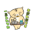 トラ猫の一言（個別スタンプ：1）