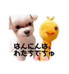 くるくるみるく➂（個別スタンプ：2）