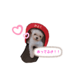 くるくるみるく➂（個別スタンプ：3）