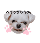 くるくるみるく➂（個別スタンプ：5）