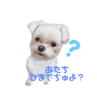 くるくるみるく➂（個別スタンプ：8）