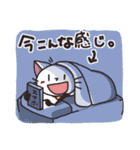 猫のうーちゃん ごきげんスタンプ（個別スタンプ：24）