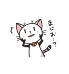 猫のうーちゃん ごきげんスタンプ（個別スタンプ：36）