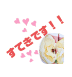 りんごときどき野菜（個別スタンプ：14）