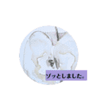 りんごときどき野菜（個別スタンプ：23）