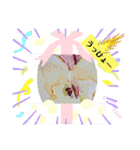 りんごときどき野菜（個別スタンプ：24）