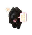 ビビのスタンプpartⅡ（個別スタンプ：3）