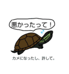 多分真面目に作った生物部スタンピ（個別スタンプ：12）