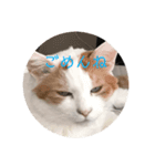 愉快なデカMAX（個別スタンプ：1）