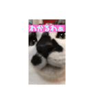 愉快なデカMAX（個別スタンプ：8）