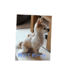 もかロン、（個別スタンプ：4）