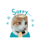 きなこ その①（個別スタンプ：3）