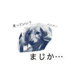 愛犬のんちゃんの幸せな時間（個別スタンプ：3）