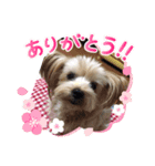 キュートなマロンちゃん（個別スタンプ：2）