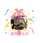 キュートなマロンちゃん（個別スタンプ：7）