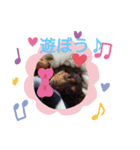 ミルクココア～（個別スタンプ：2）