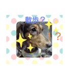 ミルクココア～（個別スタンプ：7）
