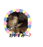ミルクココア～（個別スタンプ：8）